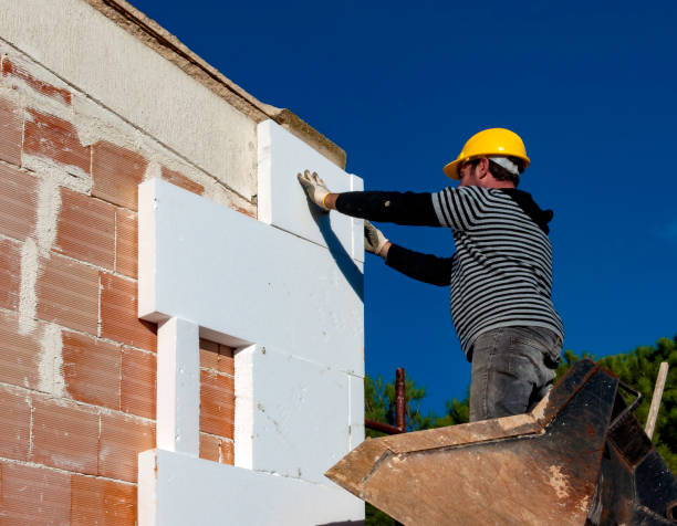 Best Residential Insulation Services  in Chippewa Falls, WI