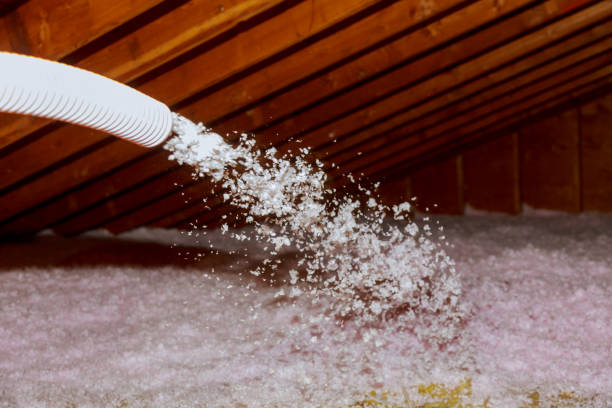 Insulation Replacement Services in Chippewa Falls, WI