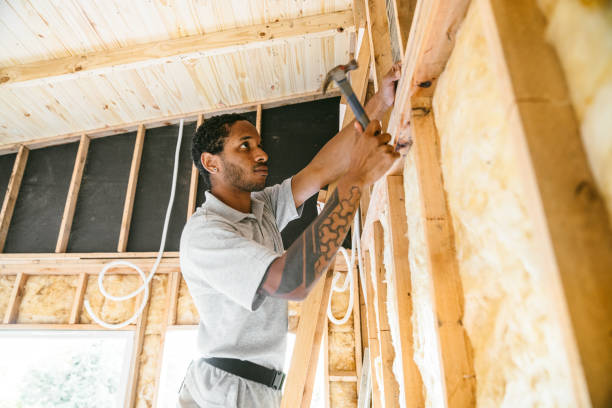 Best Insulation Inspection Services  in Chippewa Falls, WI