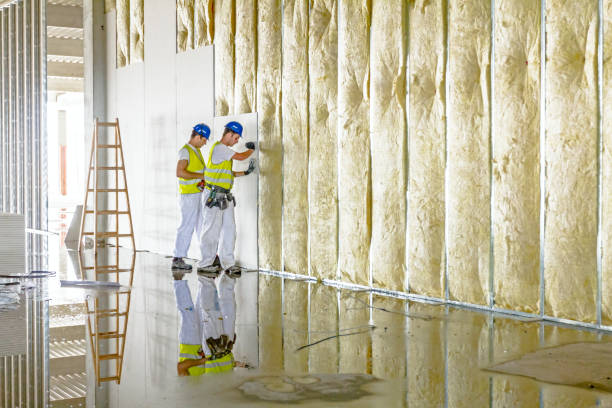 Best Insulation Contractor Near Me  in Chippewa Falls, WI